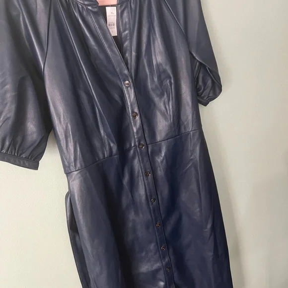 Ann Taylor Blue Faux Leather Dress - Picture 9 of 11